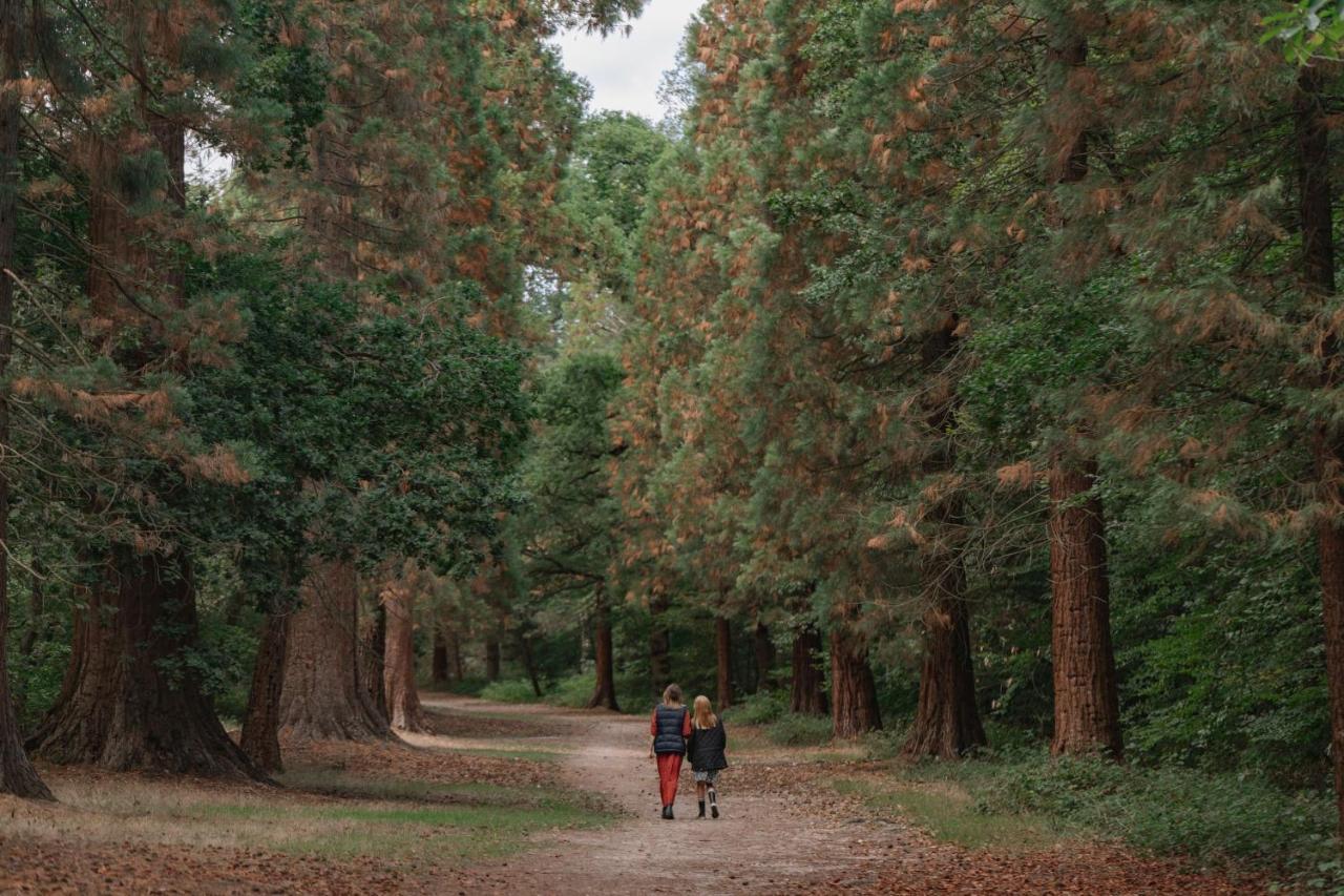 The Langley, A Luxury Collection Hotel, Buckinghamshire アイバー エクステリア 写真