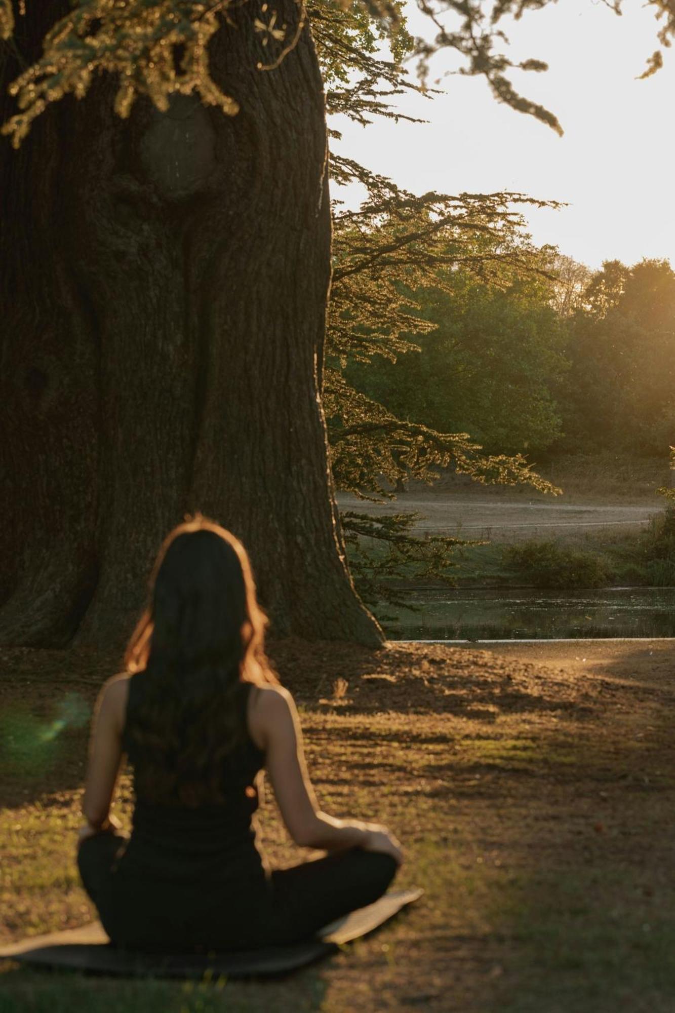 The Langley, A Luxury Collection Hotel, Buckinghamshire アイバー エクステリア 写真